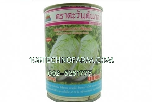 ผักกาดขาวบิ๊กคิงส์ 100g. ผักกาดขาวบิ๊กคิงส์ 100g.